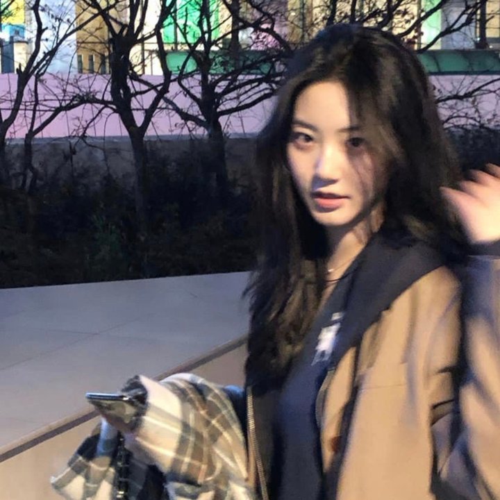 神秘博士第四季